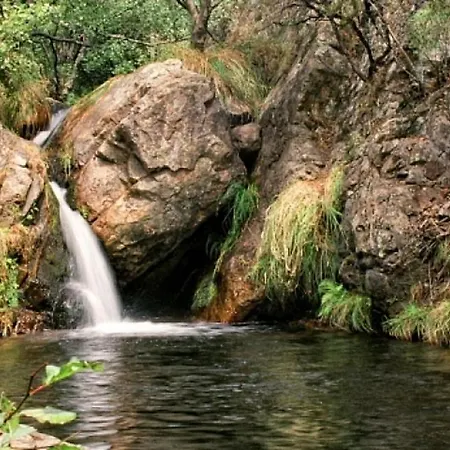 Welcoming House In + Pool *