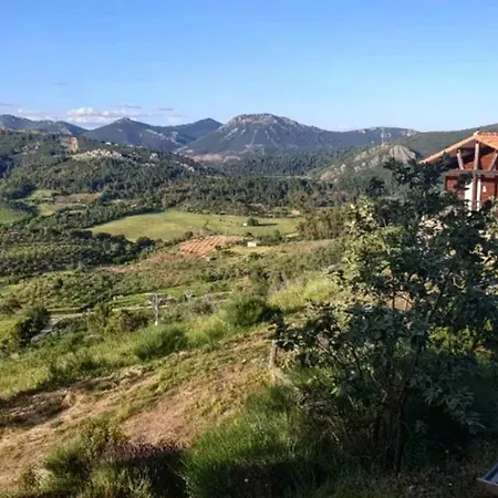 Welcoming House In + Pool