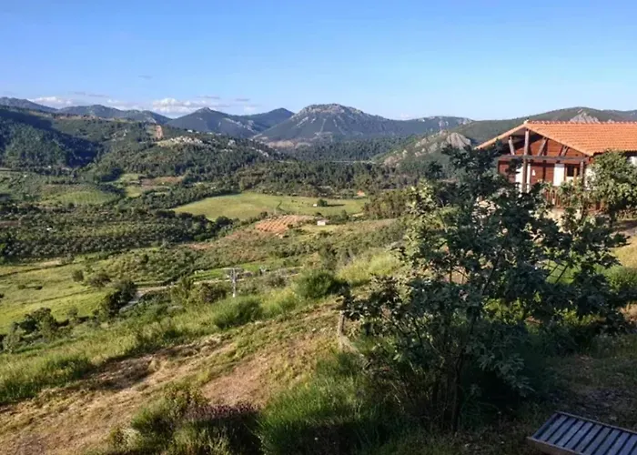 Welcoming House In + Pool